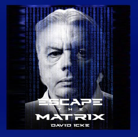 curso-escapa-de-la-matrix