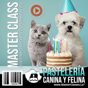 curso-pasteleria-canina-y-felina