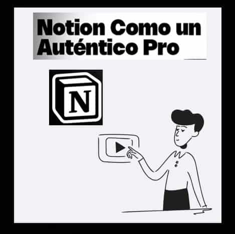 notion-como-un-autentico-pro-basico-pro-y-expert